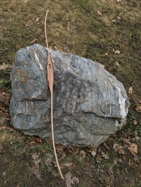 Image 4 of 2020-7: Shelf-less Maple Longbow 