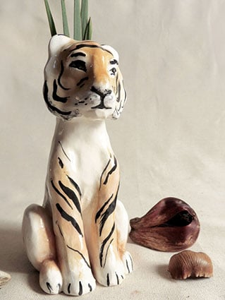 TIGRA VASOSCULTURA