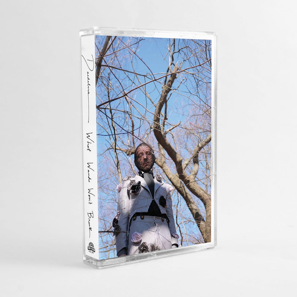 Image of Daedelus - What Wands Won't Break