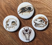 Decadent Skull Buttons