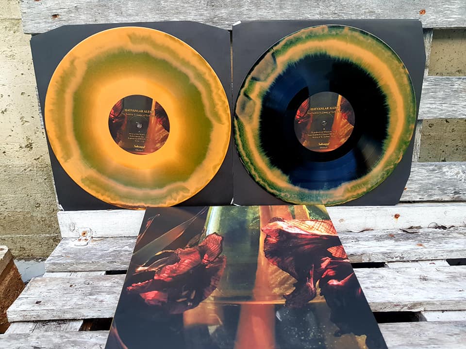 Hayvanlar Alemi- Psychedelia In Times Of Turbulence - Lp "Burst" Orange/Green/Black