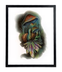 Mystic Mushroom 