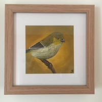 Image 5 of Small Tasmanian Bird Original Paintings