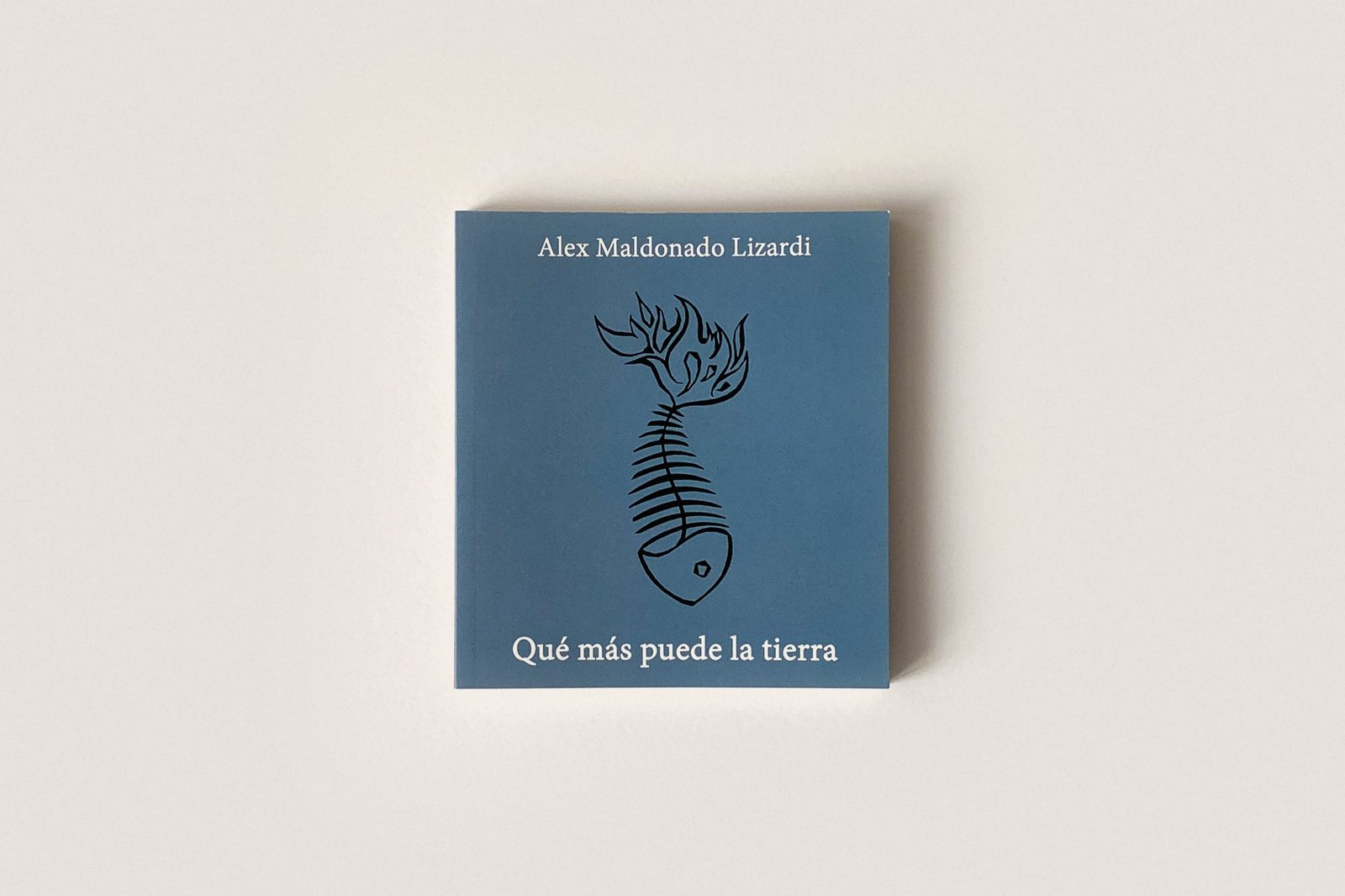 Libro: Qué más puede la tierra — Alex Maldonado Lizardi