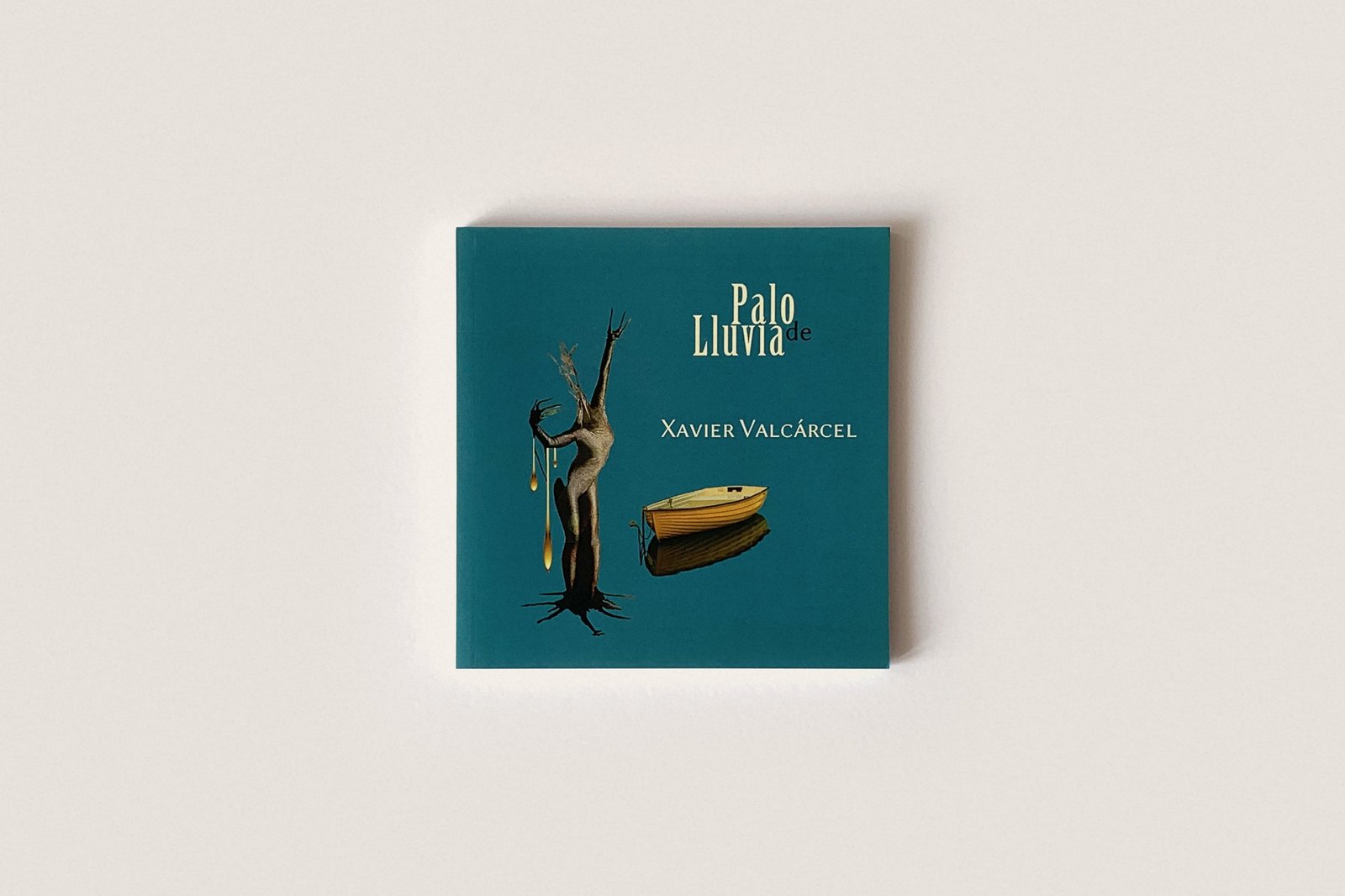 Libro: Palo de Lluvia — Xavier Valcárcel