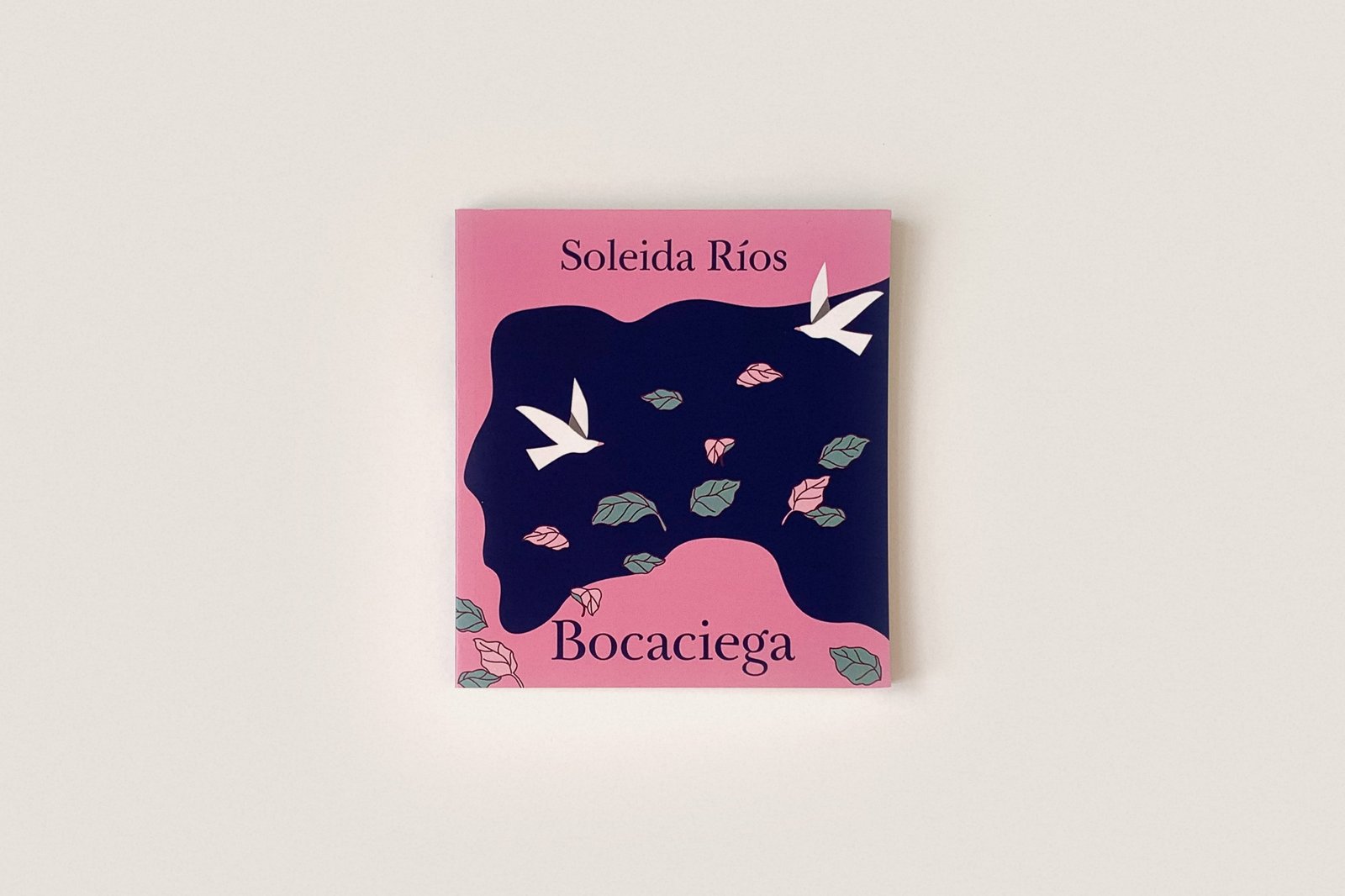 Libro: Bocaciega — Soleida Ríos
