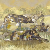 Image 1 of Painted Dogs - South Luangwa - Zambia