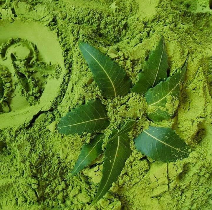 Image of African Neem leaf powder