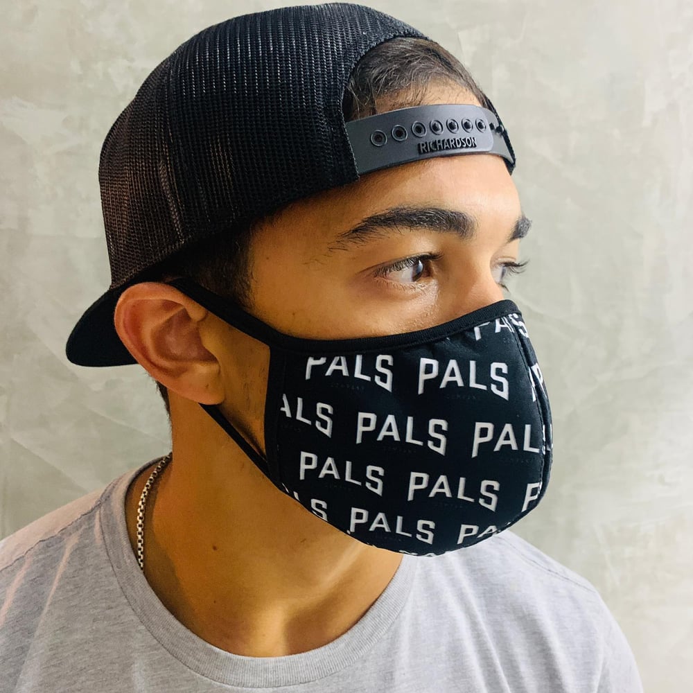 Image of PALS FACEMASK