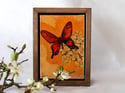 Original Framed Canvas - 4" x 6" - Butterfly
