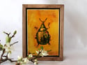 Original Framed Canvas - 4" x 6" - Beetle#2