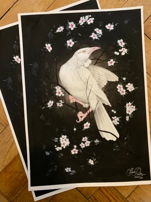 Image of Albino Tui with Manuka