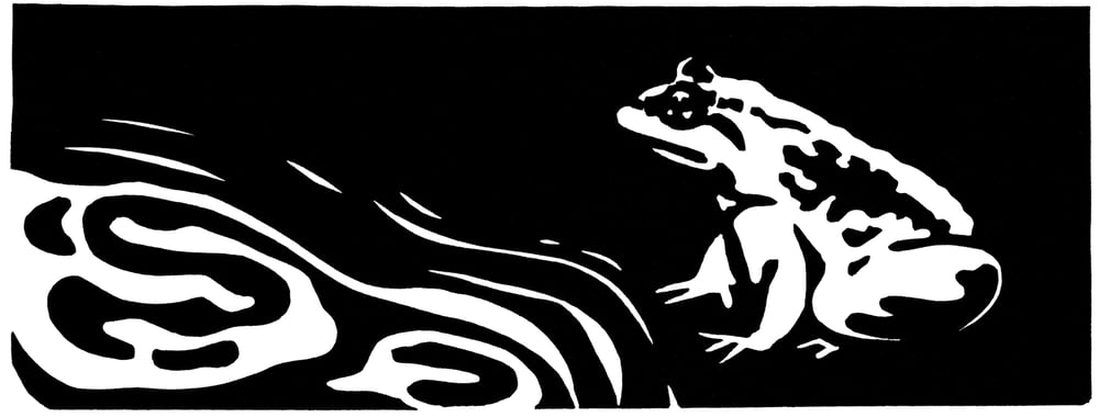 Image of Poetry Print - Basho's Frog