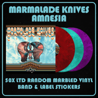 Image 2 of Marmalade Knives - Amnesia LTD Random Marbled Vinyl