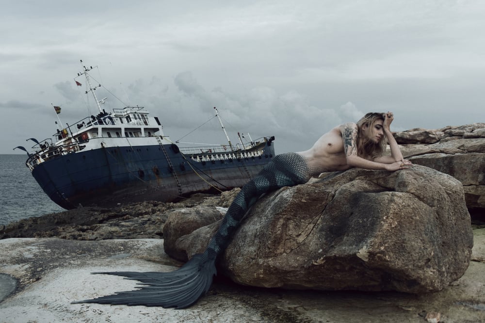 Image of Shipwrecked