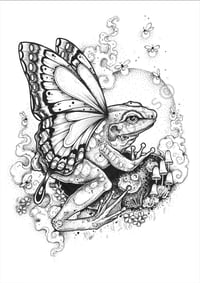 Frog With Wings Print