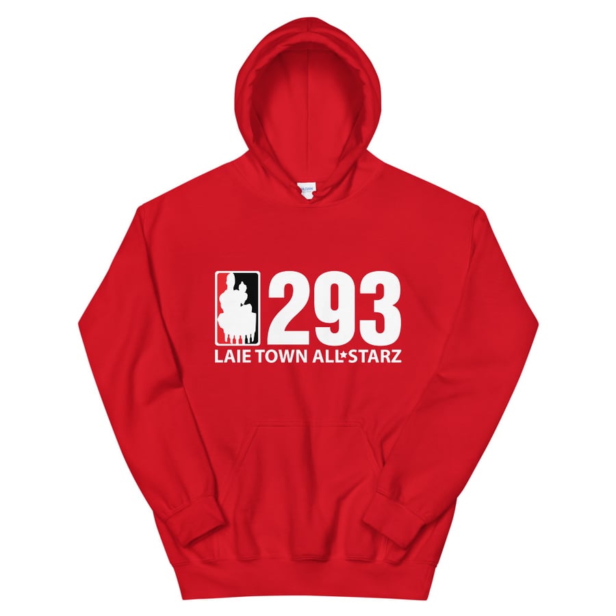 Image of Original 293 hoodie