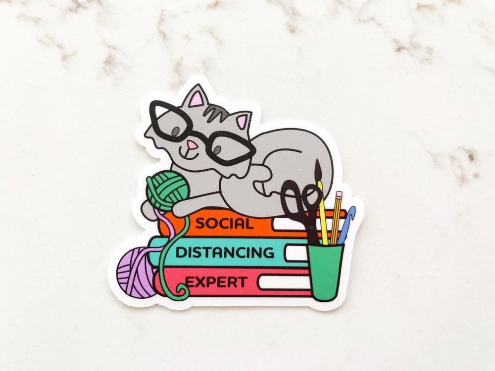 Image of Social Distancing Cat