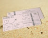 Blush Boarding Pass