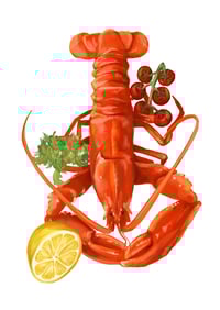 Cooked lobster illustration 