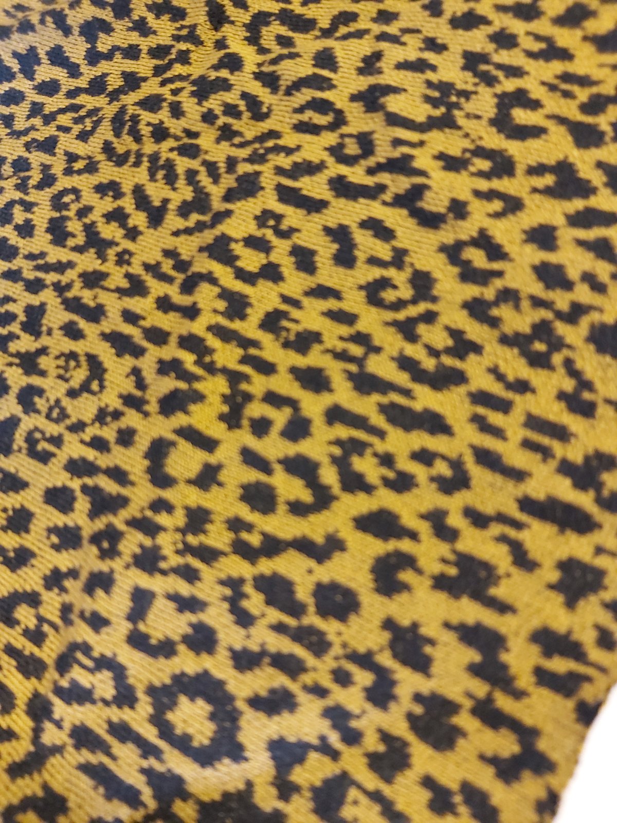 Image of Kat pants leopard  