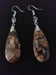 Image of UNIQUE JASPER EARRINGS