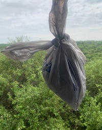 Image 4 of Grocery Bag of CDTOM's Hair