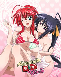 Image 2 of HIGHSCHOOL DXD MAT (preorders)