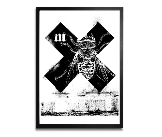 Image of MONSTFUR X