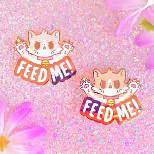 Image of Feed Me Cat Pin
