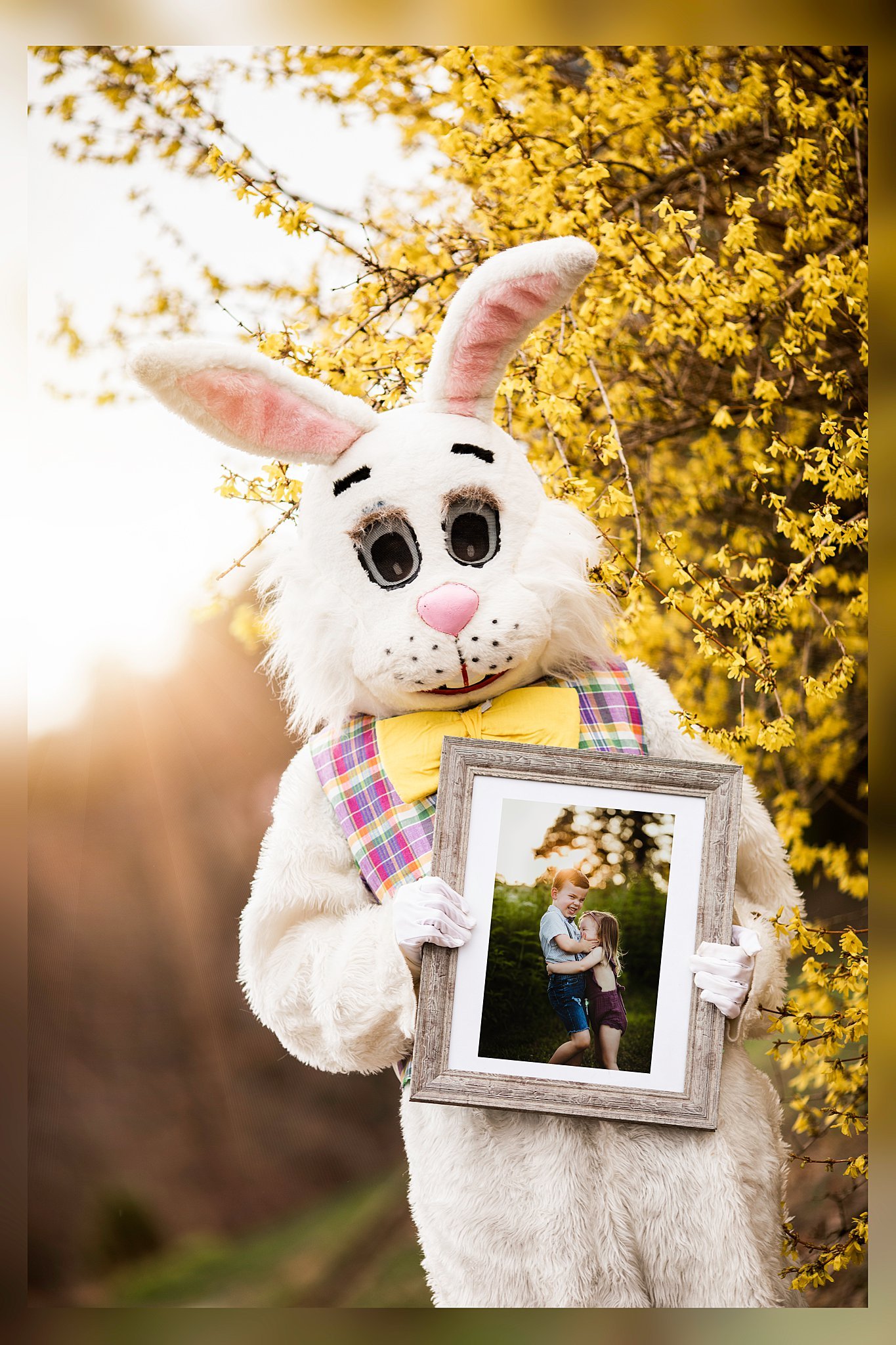 Image of Digital Easter Bunny Pictures 