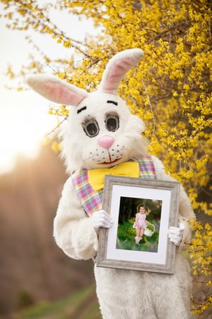 Image of Easter Bunny Digital photo