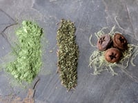 Image 5 of Moss Landing Bar - All Natural Mint & Eucalyptus Soap