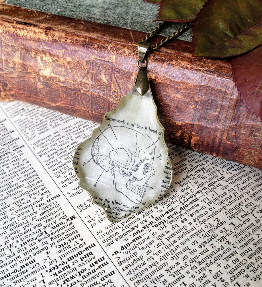 Image of Vintage Skull Book Page & Salvaged Chandelier Crystal Necklace