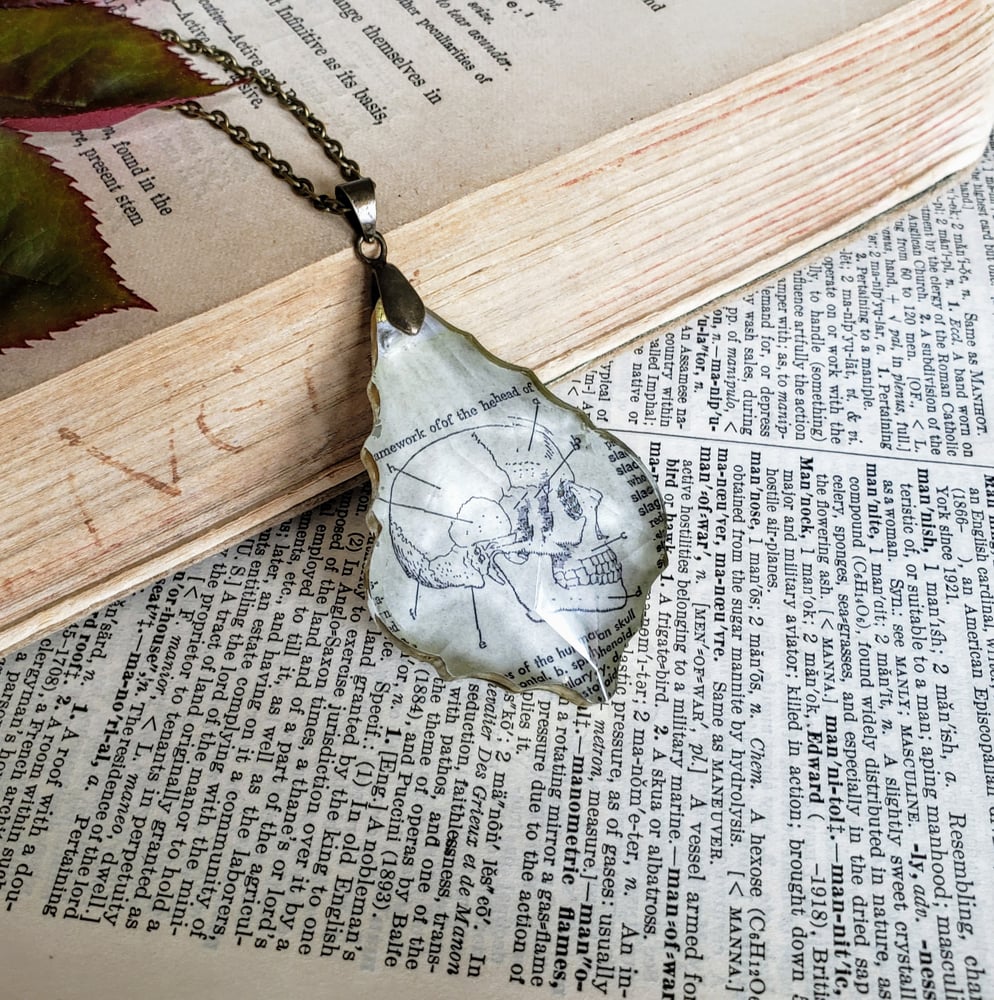 Image of Vintage Skull Book Page & Salvaged Chandelier Crystal Necklace