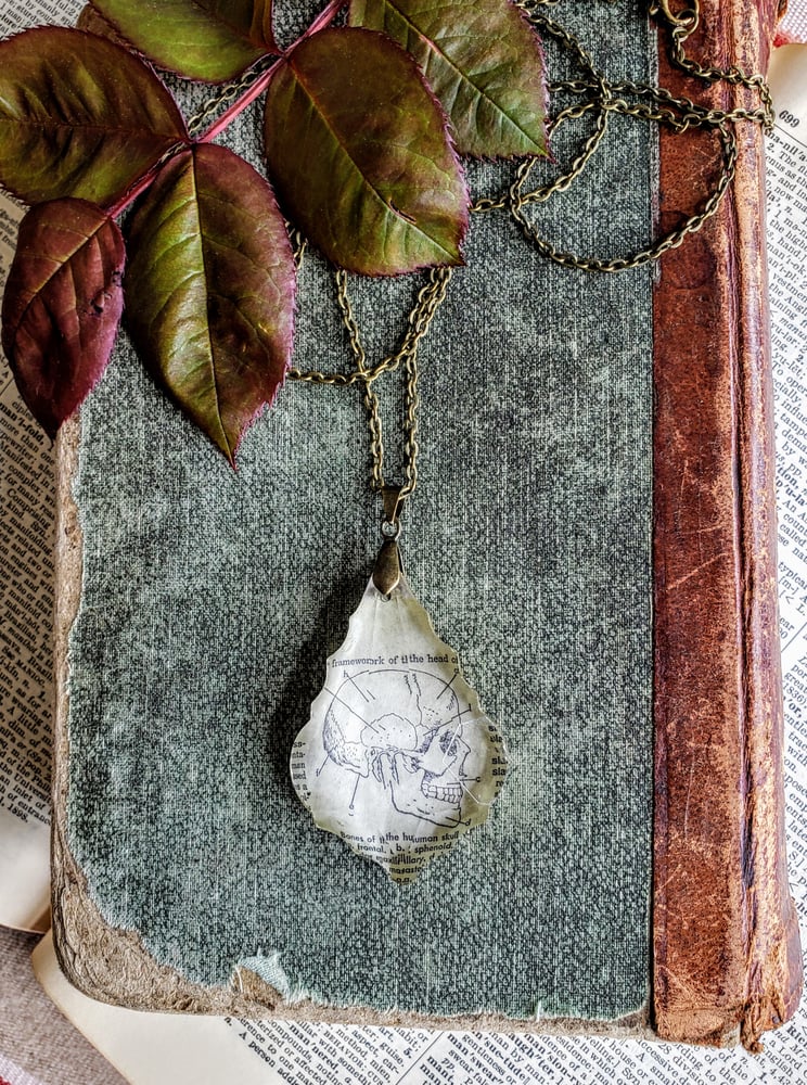 Image of Vintage Skull Book Page & Salvaged Chandelier Crystal Necklace