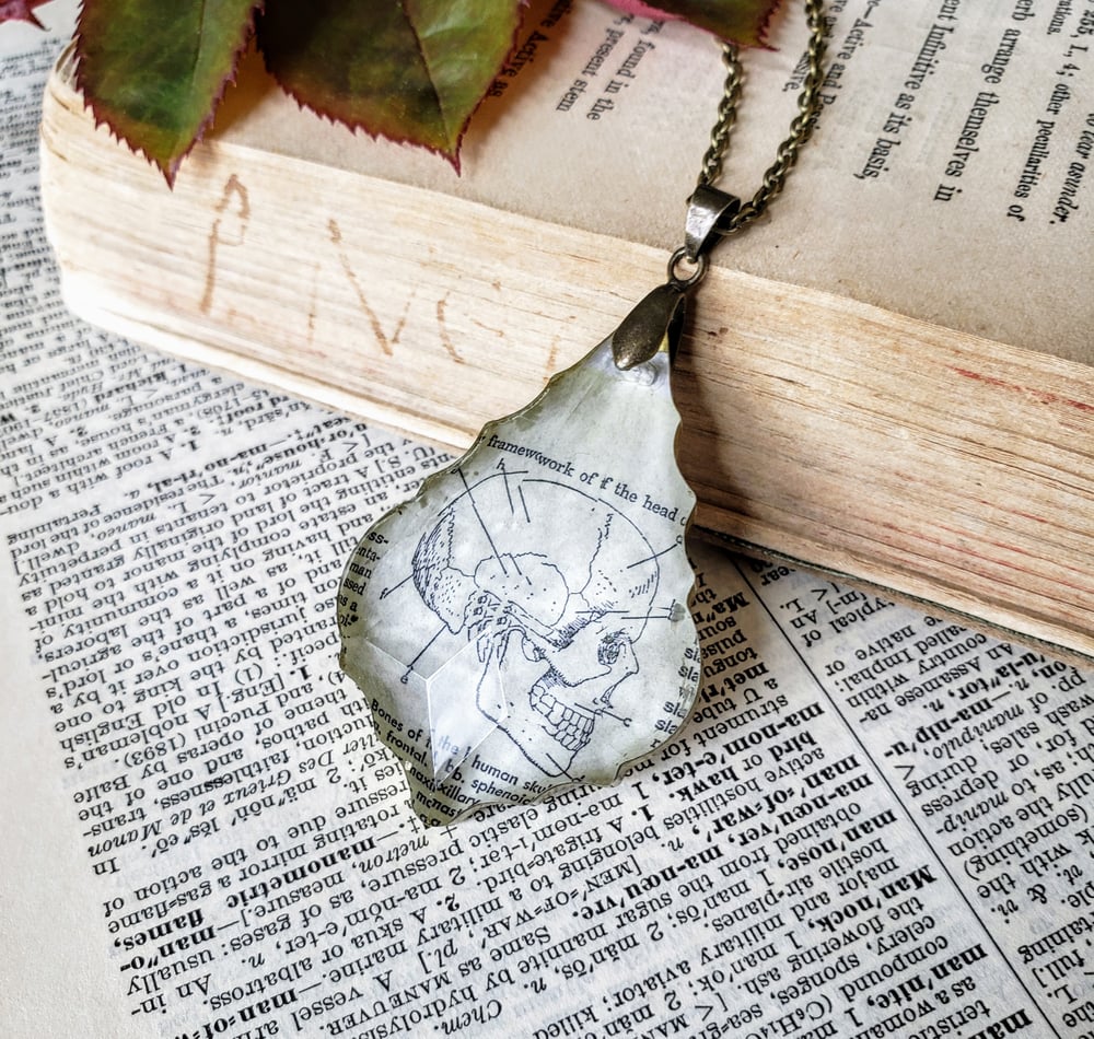 Image of Vintage Skull Book Page & Salvaged Chandelier Crystal Necklace