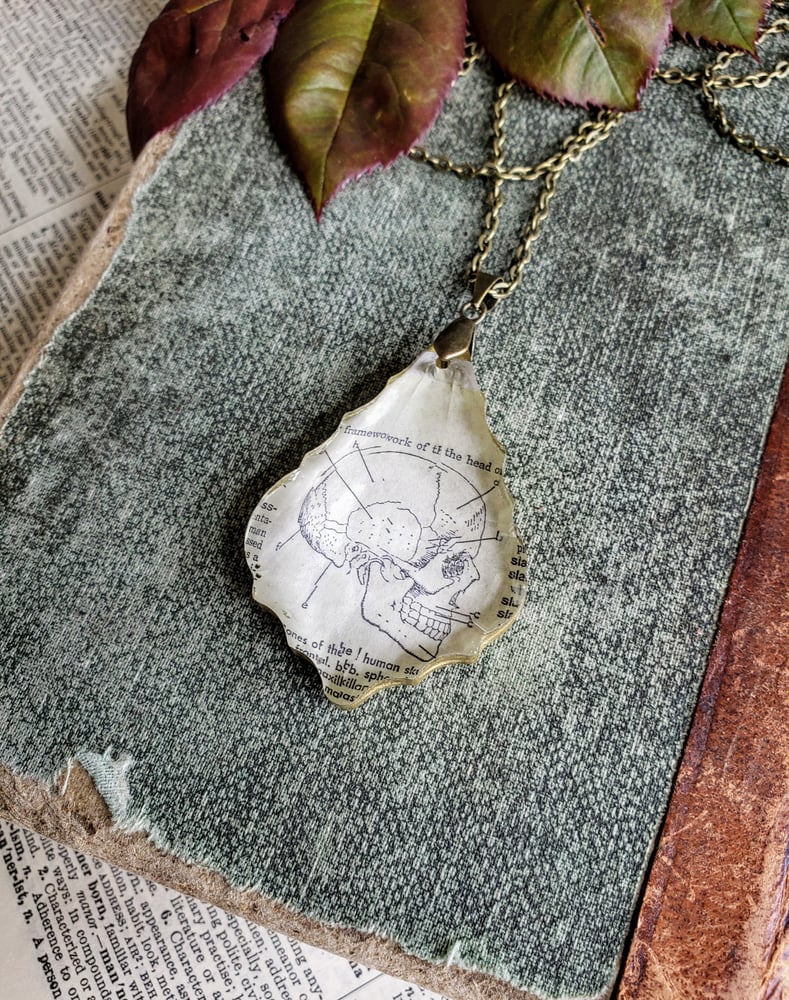 Image of Vintage Skull Book Page & Salvaged Chandelier Crystal Necklace