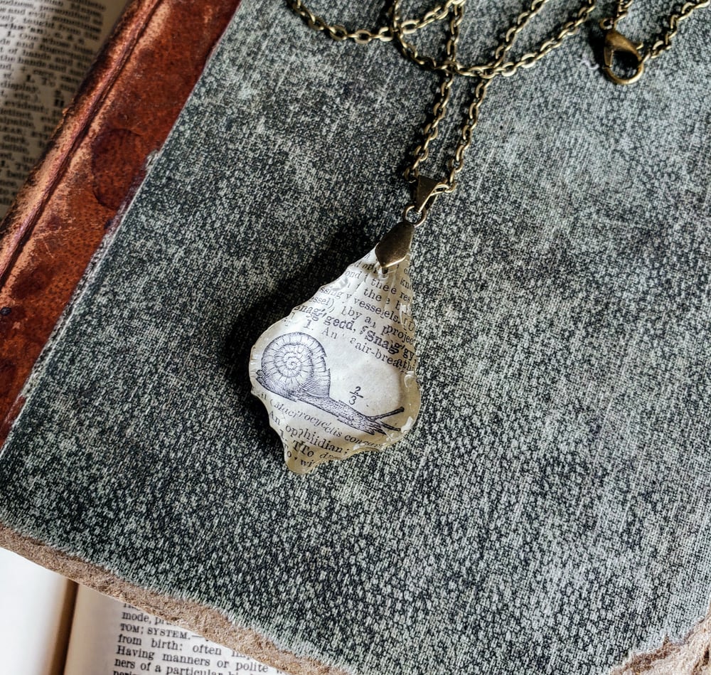 Image of Antique Encyclopedia Page & Salvaged Chandelier Crystal Snail Necklace