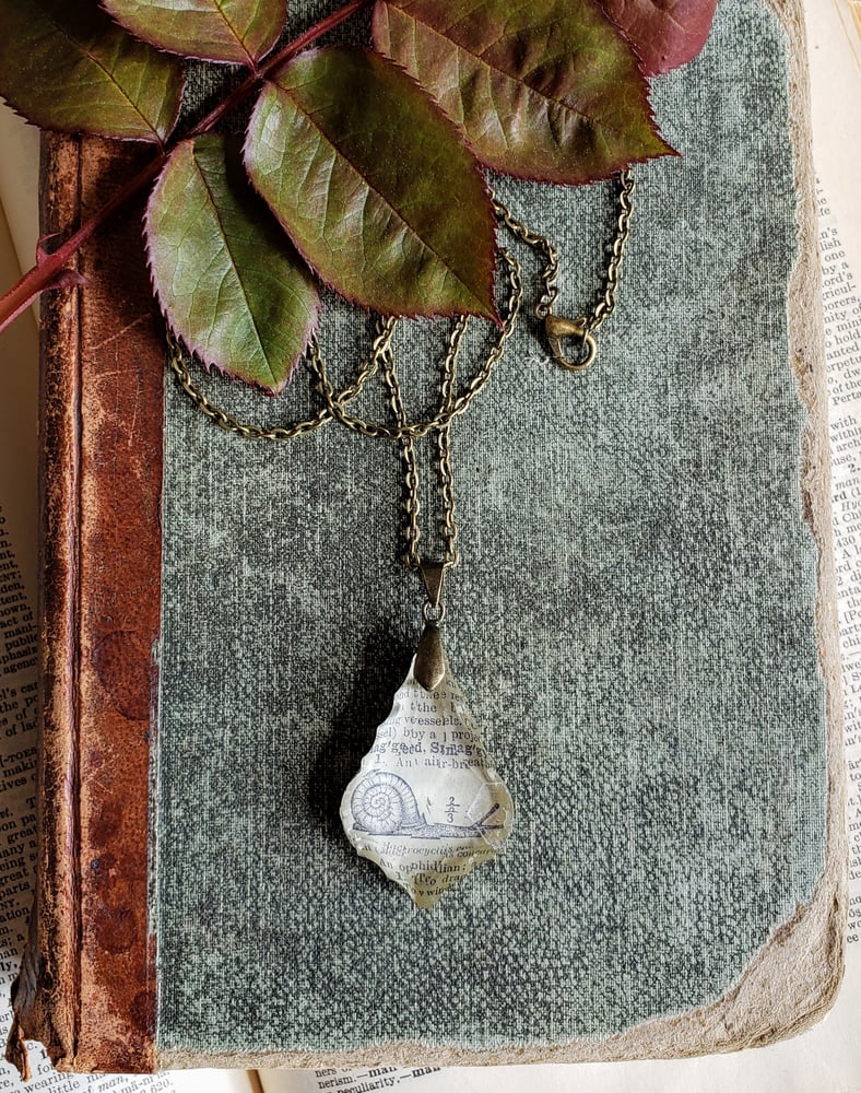 Image of Antique Encyclopedia Page & Salvaged Chandelier Crystal Snail Necklace