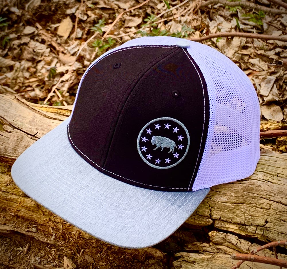 Image of  Bison Stars Snap Back Cap