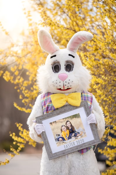 Image of Easter Bunny 2020