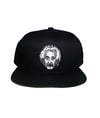 PinEinstein Snapback