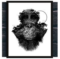 Image 1 of ORANG-OUTAN FOREST FACE