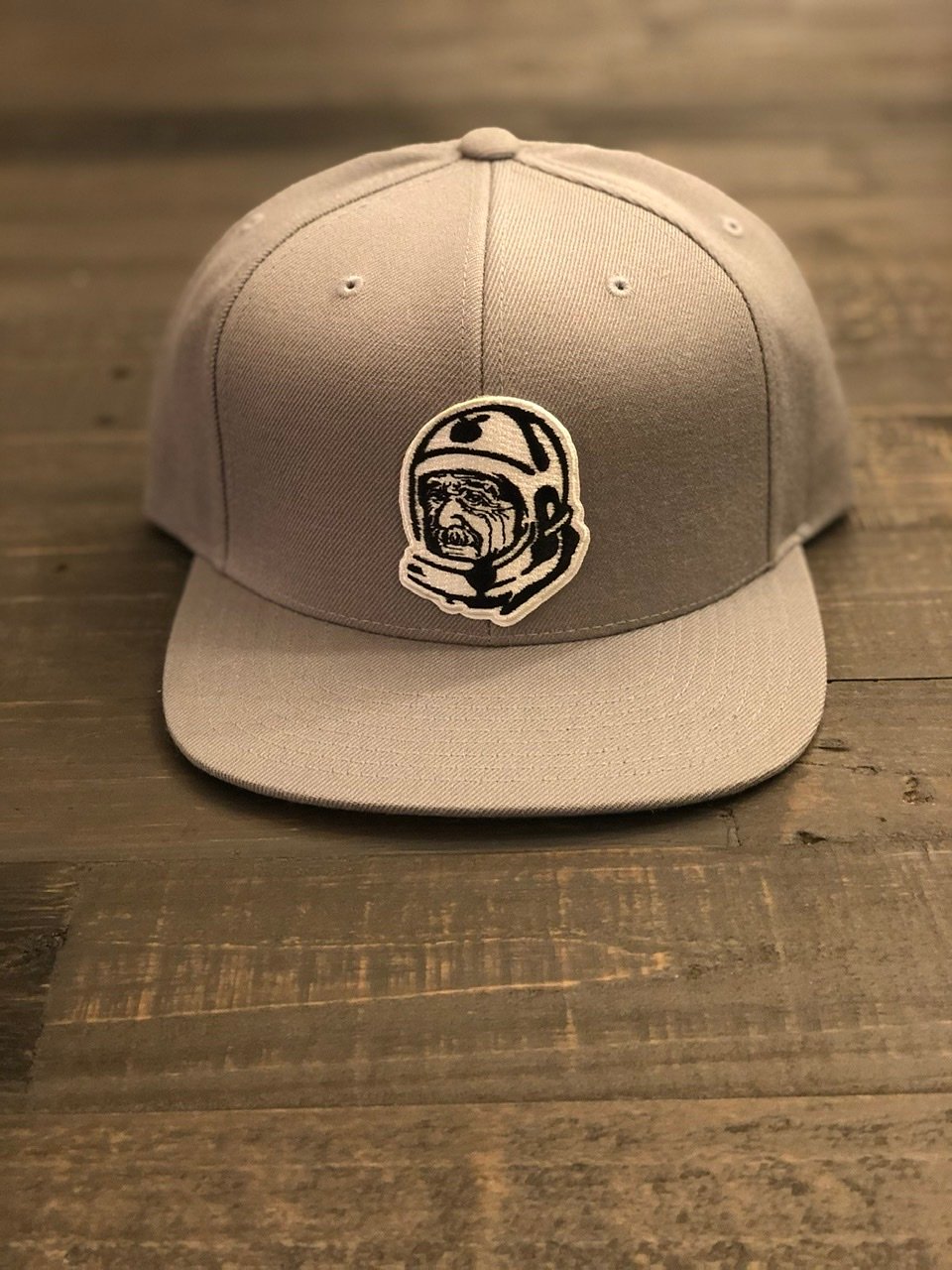 Brains Club Snapback [Grey]