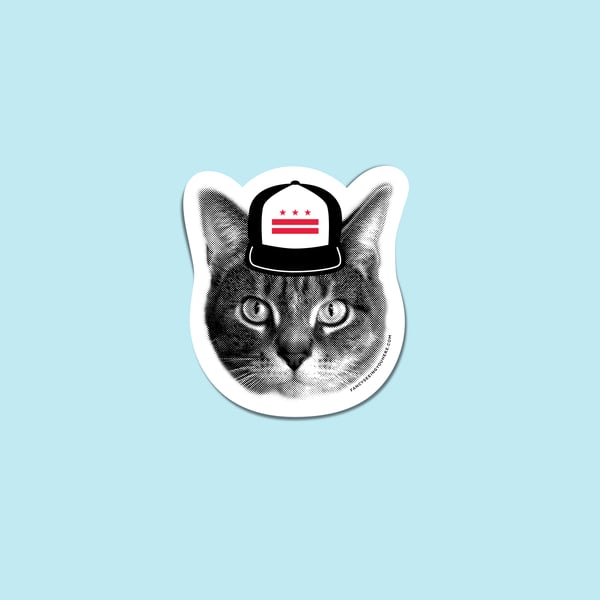 Image of gee whiskers: DC cat sticker or magnet - DC pride kitty - Washington DC - DC flag hat