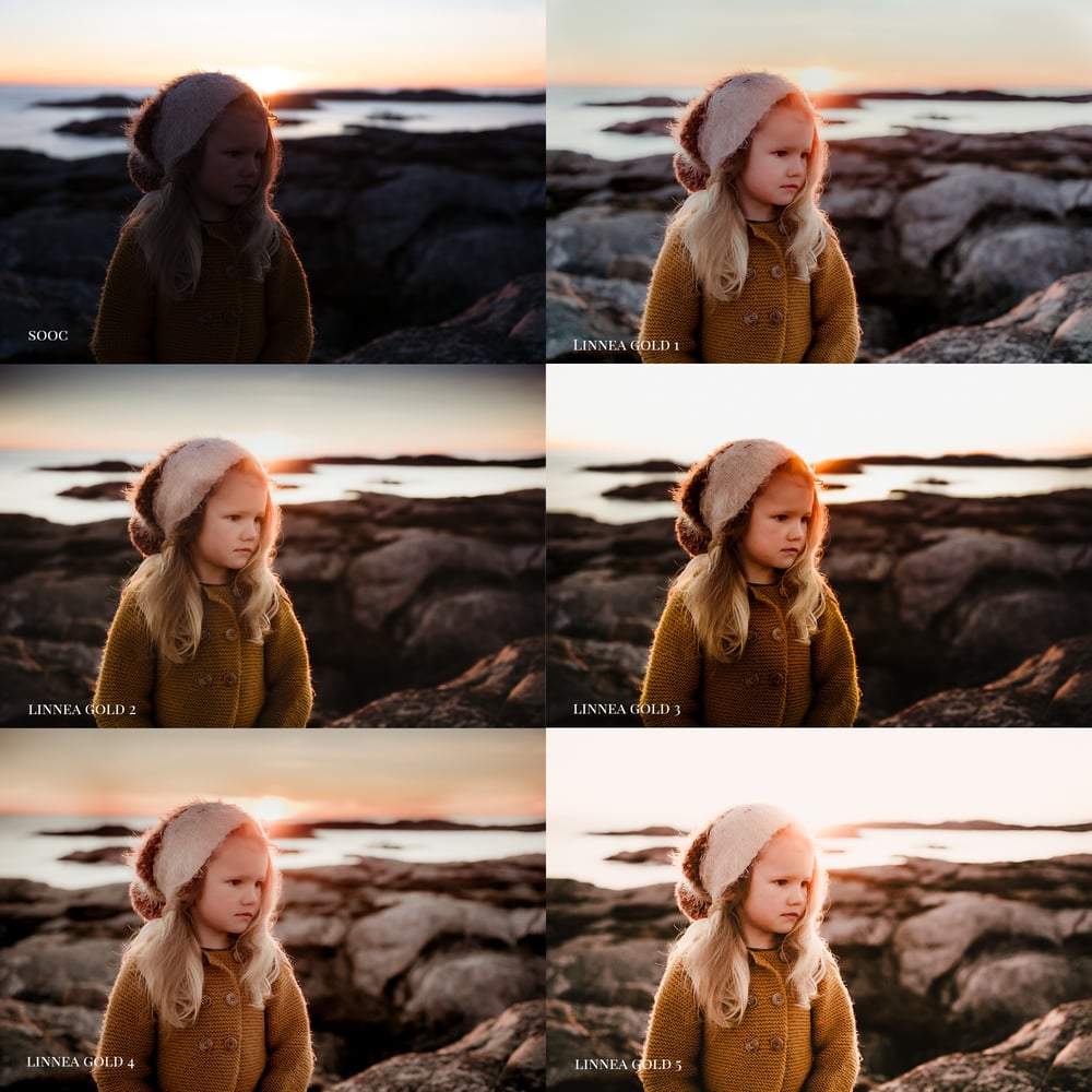 Image of Linnea Golden ACR presets and videos