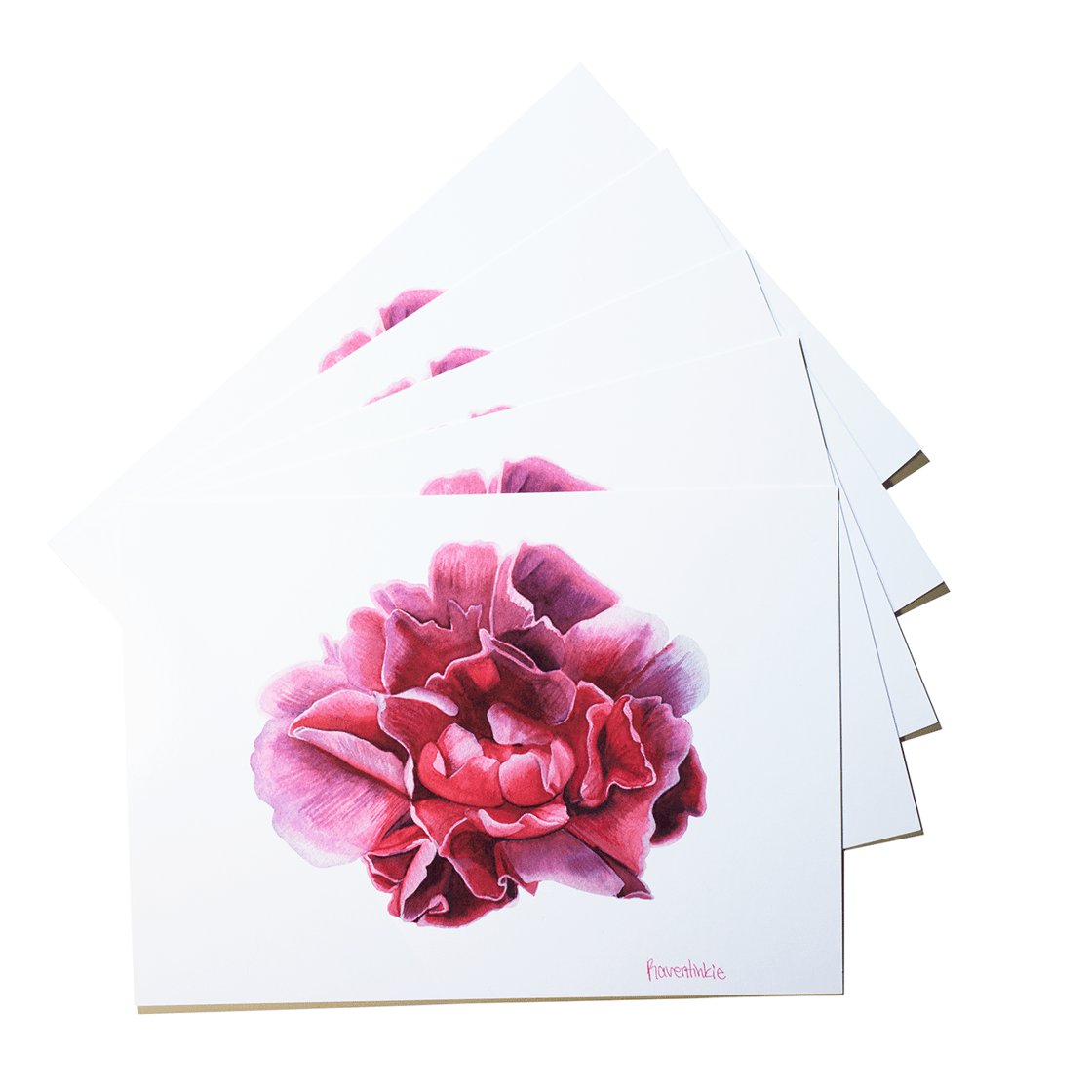 Image of Peony Postcard