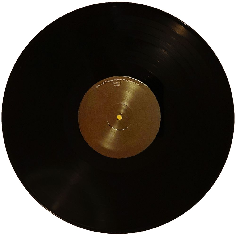 The Don Darlings - The Don Darlings