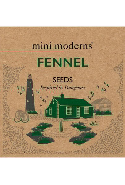 Image of FENNEL SEEDS